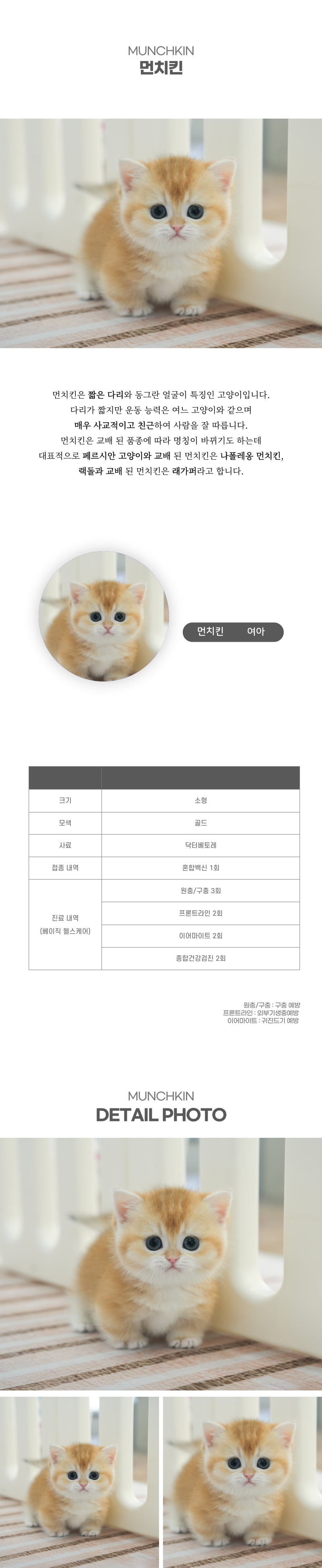 먼치킨_상세이미지_2